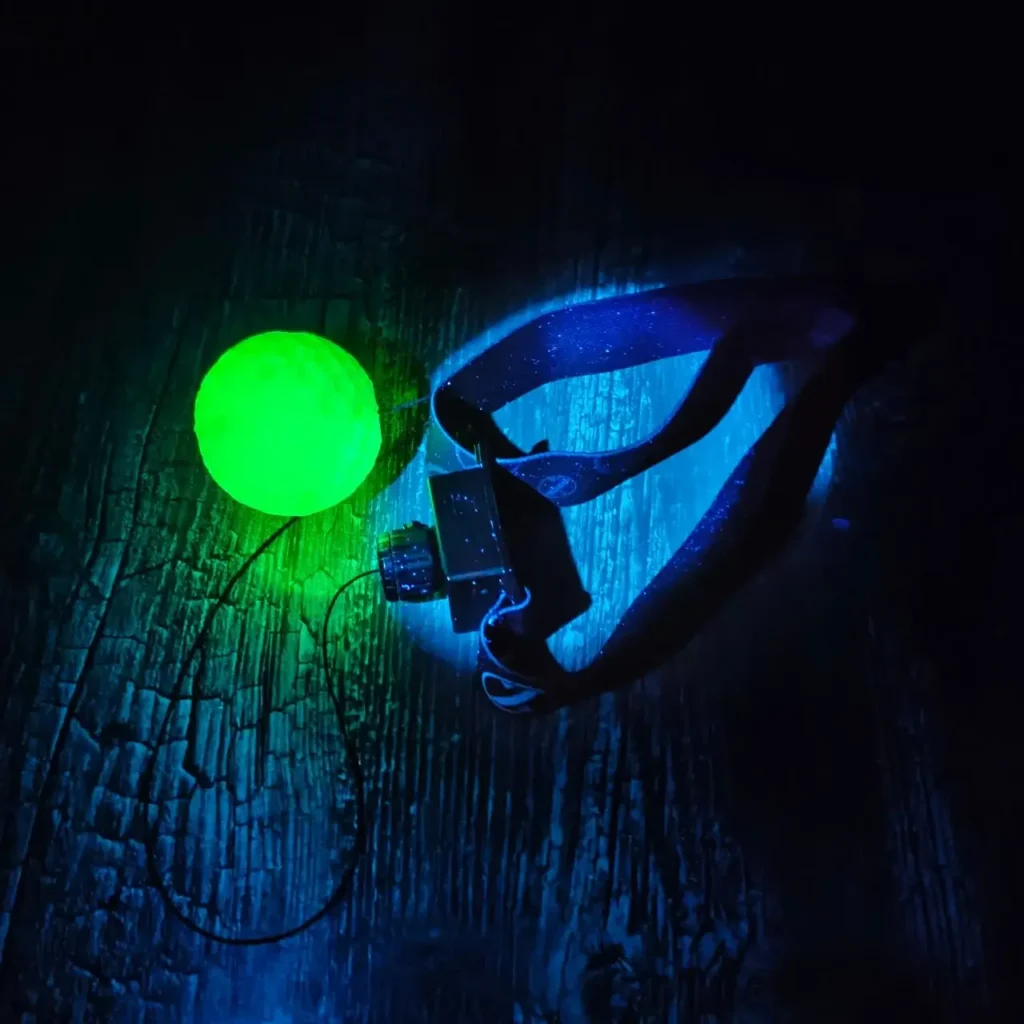 Glow-in-the-Dark Feature