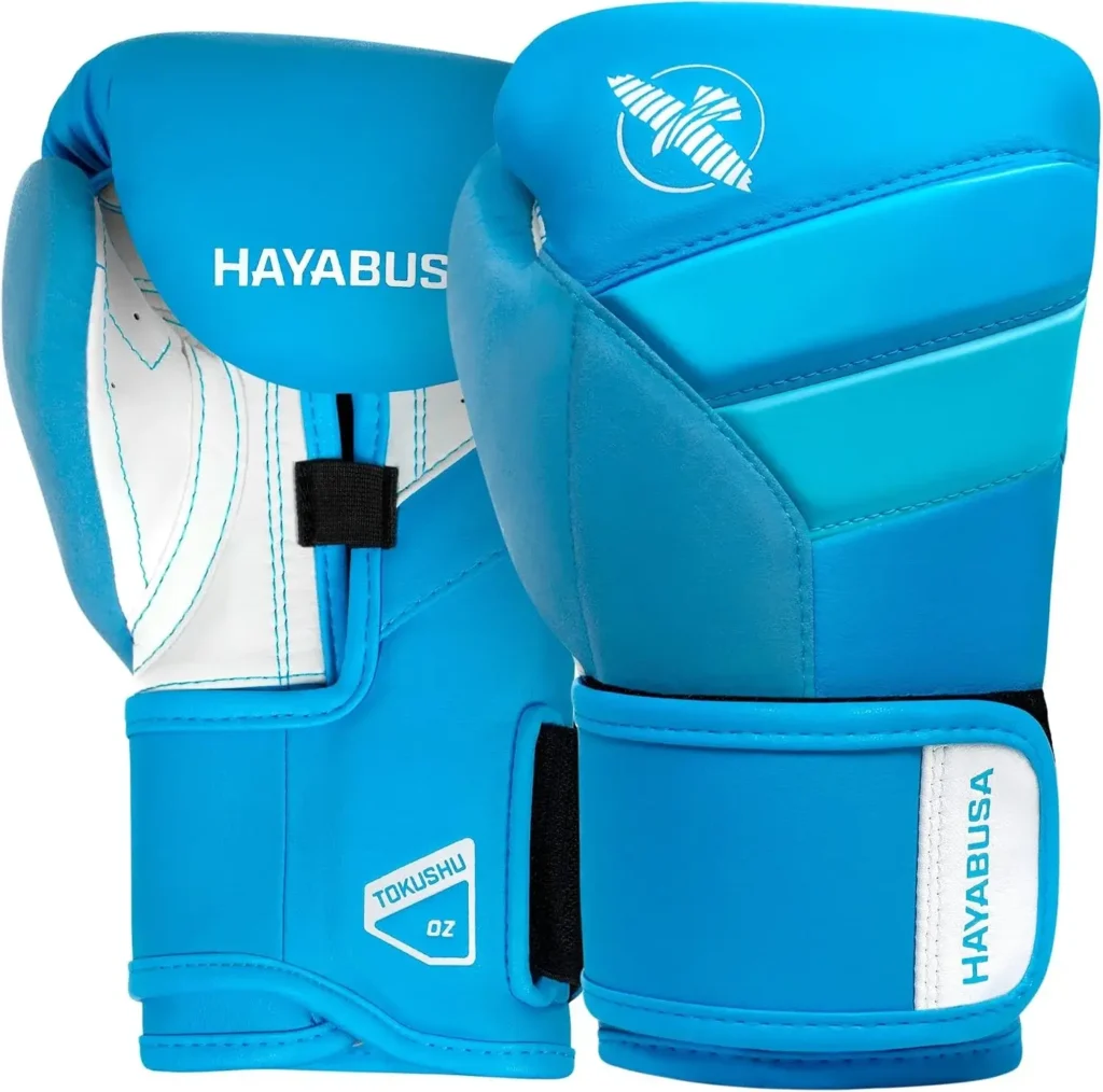 Hayabusa T3