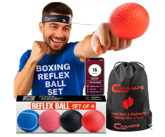 Champs MMA Boxing Reflex Ball Set